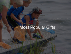 Link to Most Popular Gifts